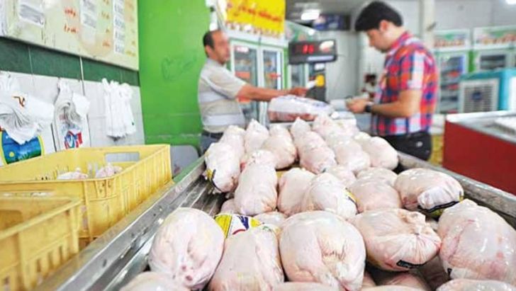 ماهانه حداکثر ۲۳۰ هزارتن مرغ مورد نیاز کشور است